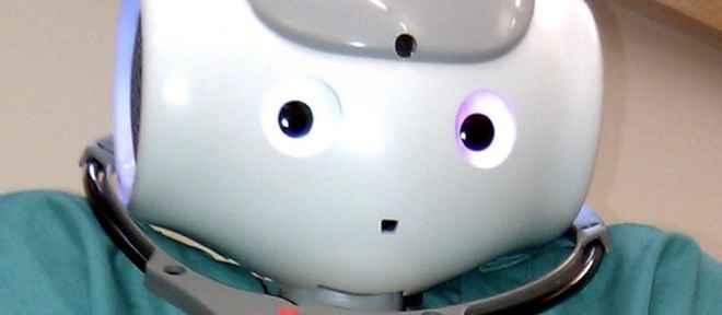 How robots could one day become our best friends