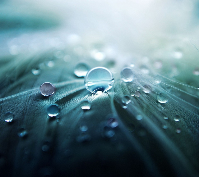Phone waterproofing company Liquipel is expanding to Australia, Brazil and China