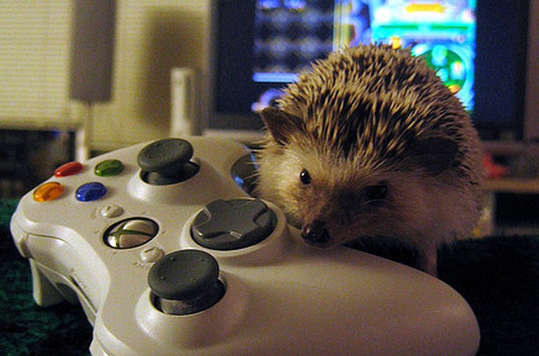 Tipping point: Entertainment usage has overtaken multiplayer gaming on the Xbox 360