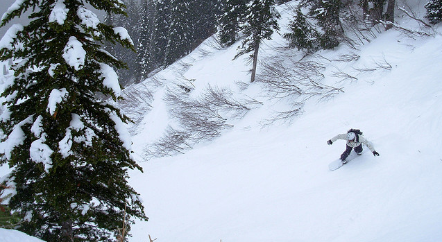 Channel your inner child with sNOw School’s hi-tech snow day predictions
