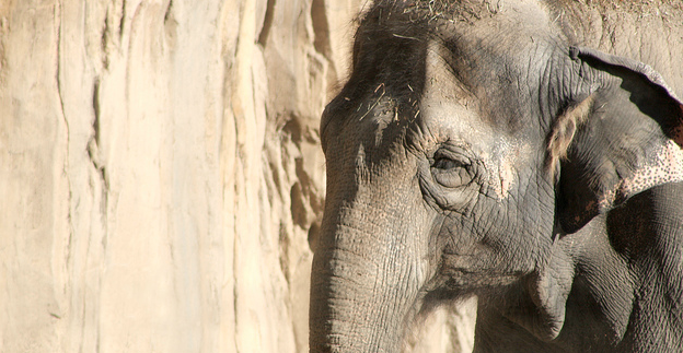 Evernote launches new developer site to grow its ecosystem