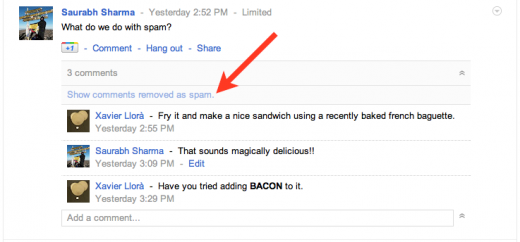 drano11 520x242 photo drano11 520x242 Google+ now makes spam comments less visible by grouping and hiding them