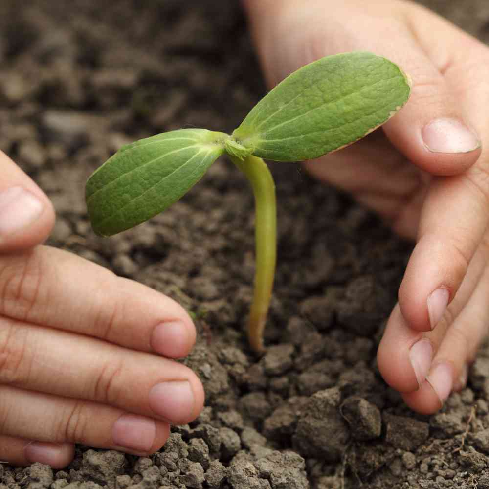 Youâve started a business, but is your brand protected?