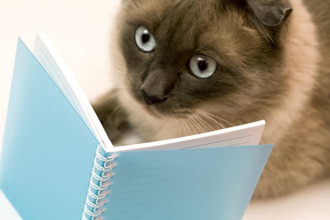 Siri, please buy the book ‘Siri For Dummies’. Hello? Siri?