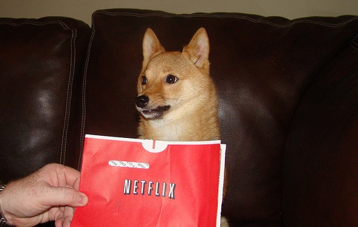 Netflix comes to Windows Phone in Latin America, UK and Ireland, adds subtitles in US and Canada
