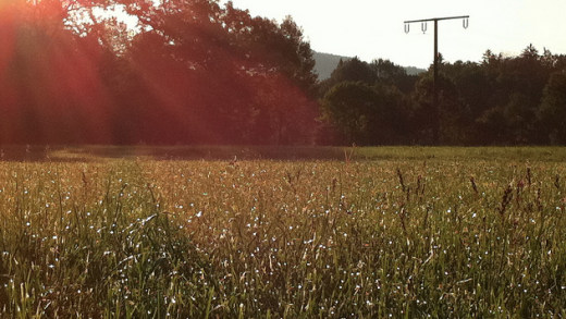 Screen Shot 2012 04 20 at 11.48.26 PM 520x293 Searching for design inspiration? Heres 98 of the best places to look