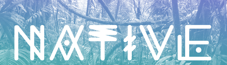 Ten Dollar Fonts brings incredible experimental typefaces to the masses