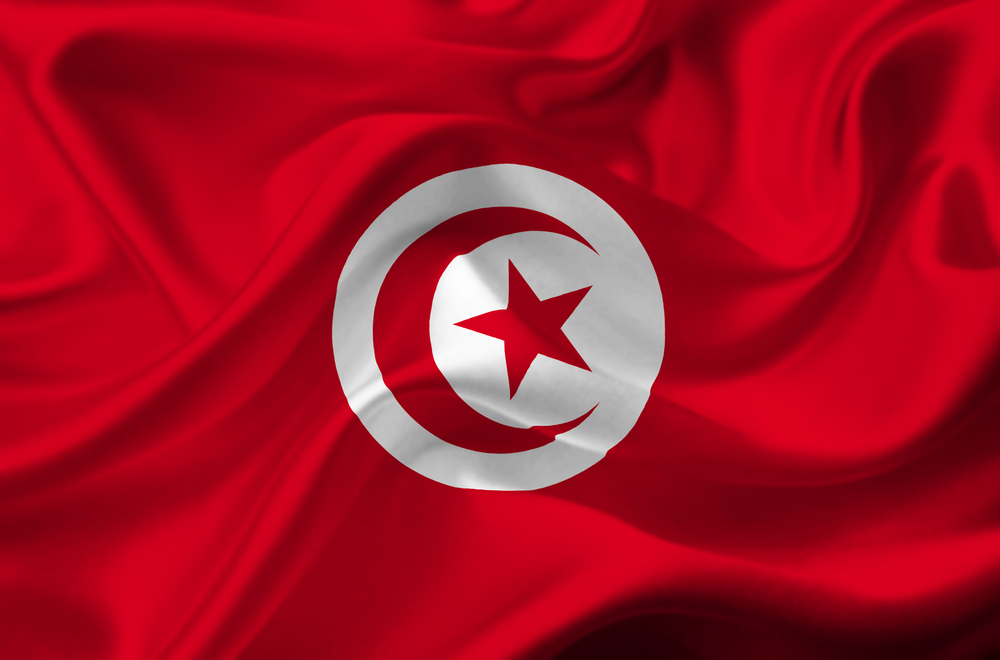 Tunisia jails two over Facebook cartoons of Prophet Mohammed (weeks after celebrating Web freedom day) ...
