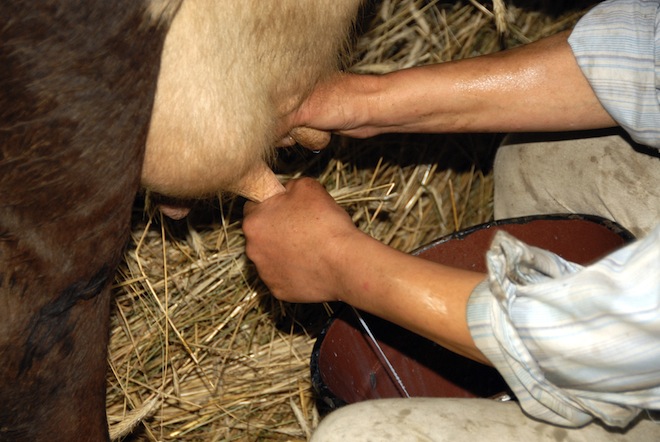 Farmeron harvests $1.4m from star backers for online farm management tool. Yes, really.