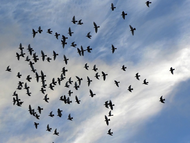 LinkedIn co-founder Konstantin Guericke joins the Earlybird VC flock as US partner