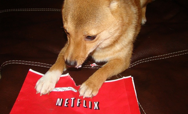 Netflix updates web player with a new design, better windowed support and streamlined controls