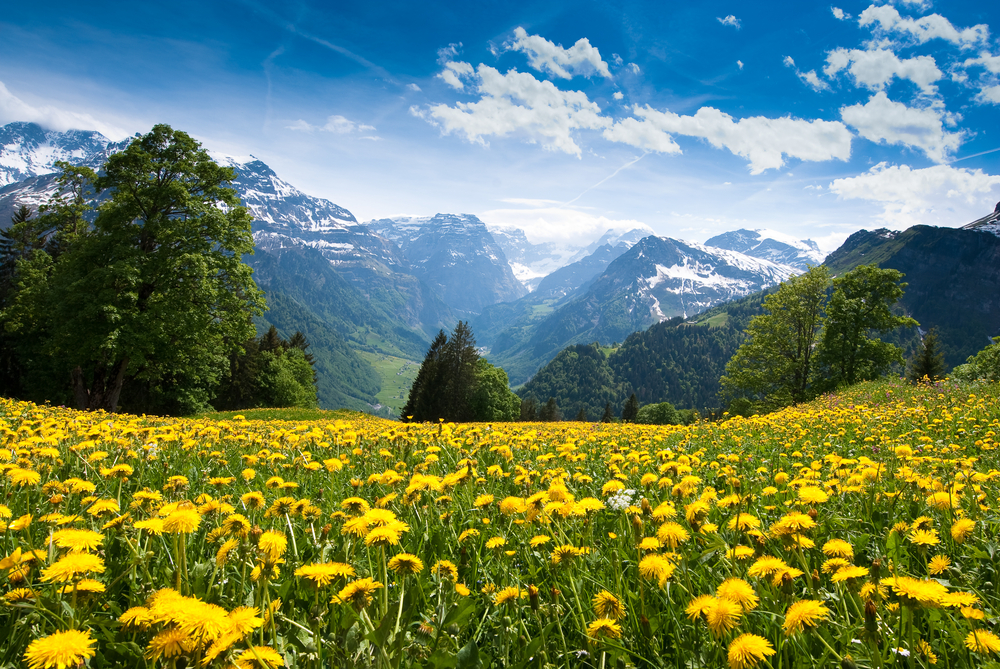 An inside look at Switzerland’s seriously ambitious startup scene