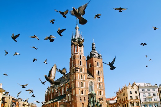 With a little help from Google, Polish startup accelerator GammaRebels shifts into second gear
