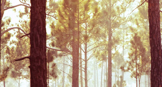 Wander unveils its invite-only beta as a beautiful new way to share and experience the world