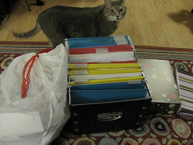 Google Drive tip: View an entire folder’s worth of documents and switch between them