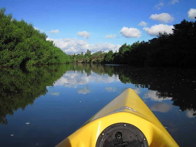 With its IPO imminent, Kayak gets sued by MacroSolve for “mobile information collection” ...
