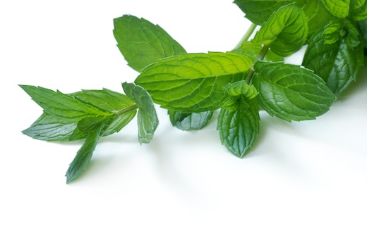 Twitpic founder quietly launches Helpmint, seems to have abandoned would-be Twitter rival Heello