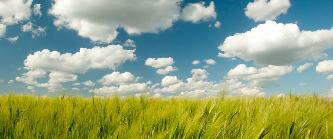 Excellent Twitter account management app SocialBro heads to the cloud to run from any browser