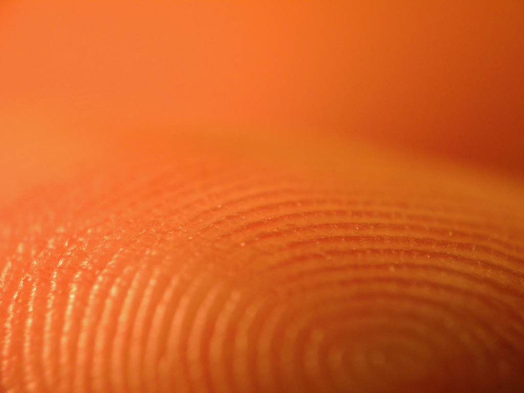 AuthenTec’s stockholders to vote on $356 million Apple merger on October 4