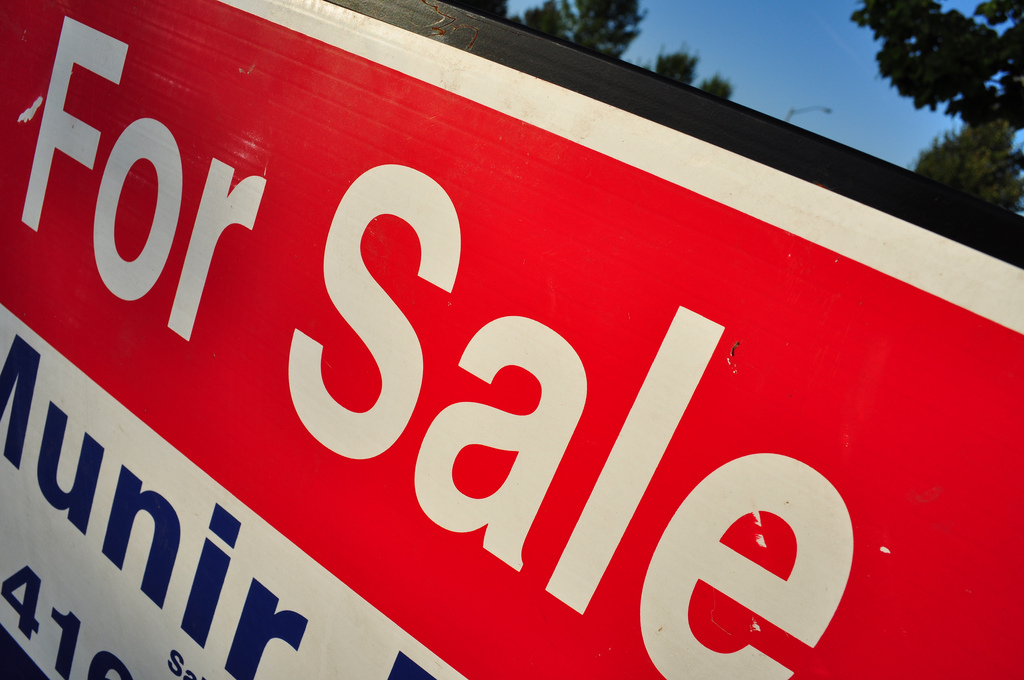 TNW is selling 3 startup ideas, plus their domains. Here’s an update on the auctions
