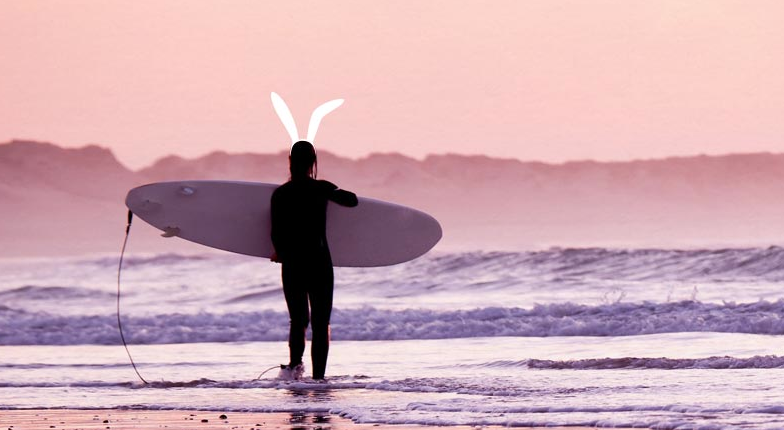 Stealth travel site Hopper raises $12M in funding from OMERS Ventures