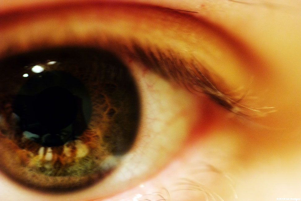 The Eye Tribe raises $800,000 to let you control your phone with your eyes