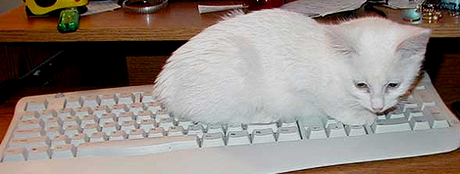 UK young workers’ unused digital skills estimated to be worth ÂŁ6.7 billion