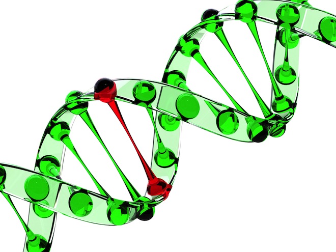 “I just go Google Chromosome” – Startup asks people to explain Wi-Fi and 3G, hilarity ...