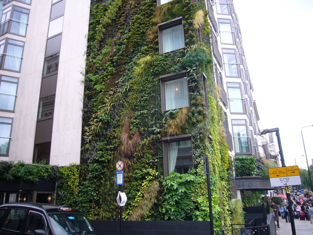 Urban farm or fancier phone? How you can start a productive homestead for less than the cost of an iPhone ...
