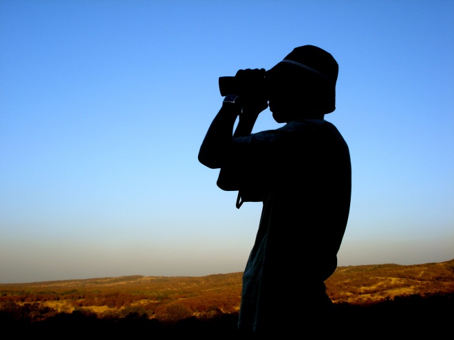 Google’s Disavow Links tool lets site masters ask to exclude low-quality links they can’t ...