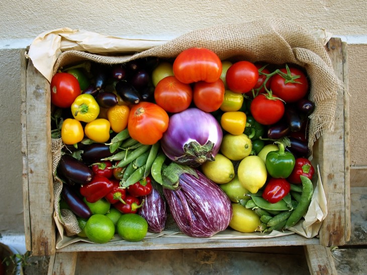 Online grocery startup HelloFresh raises ‘millions’ in funding from Rocket, Kinnevik and ...