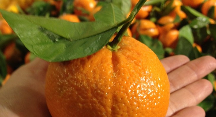 Orange Spain acquires Simyo to strengthen its position in the Spanish mobile market