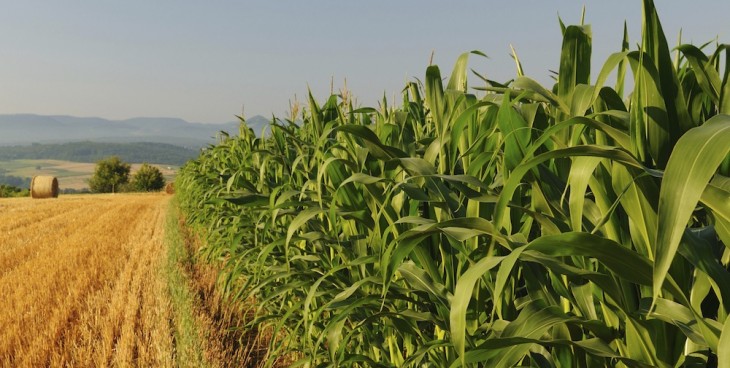 YC alum FarmLogs raises $1m from Huron River and Hyde Park to modernize farming industry