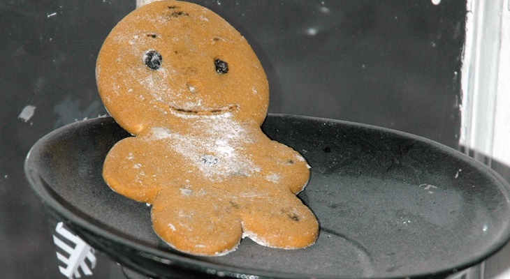 Android Jelly Bean passes 10% adoption, ICS nears 30%, and Gingerbread finally falls under 50%