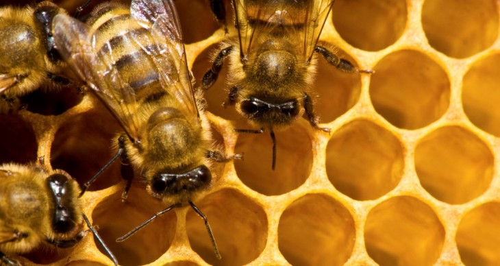 Hive Settings: This app gives you easy access to all your Android device’s settings