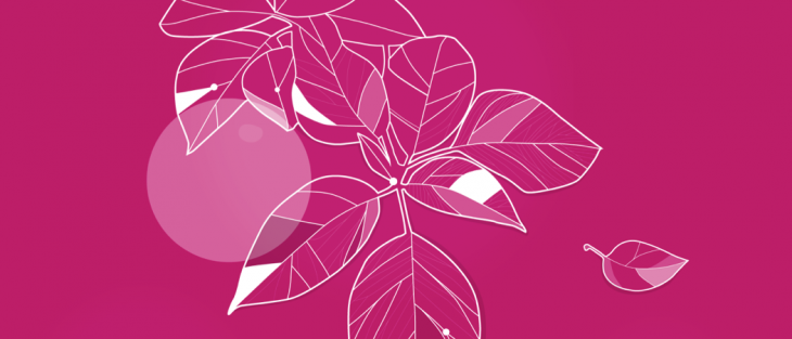 A look at the design process behind Windows 8’s Start screen and Lock screen wallpaper
