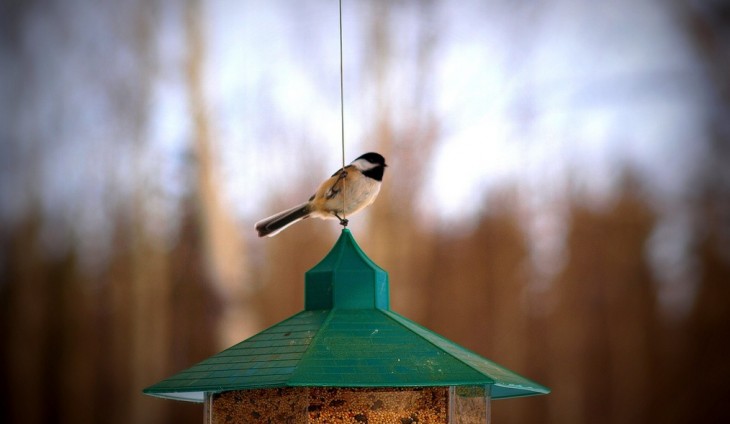 Twitter expands Certified Products Program with Adobe Social, Sprout Social, Simply Measured and more ...
