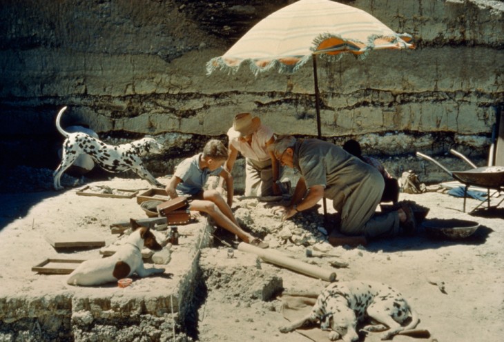 Astounding: National Geographic is celebrating its 125th anniversary, in pictures of course