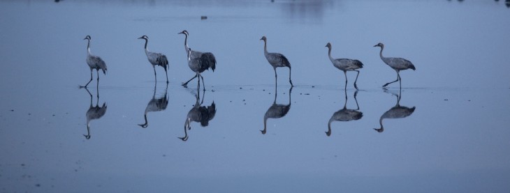 Twitter adds language info, ability to filter tweets by ‘importance’ with new API metadata ...