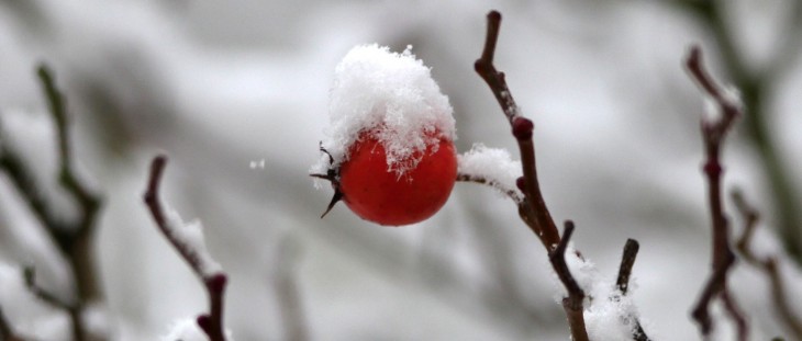 Conditions for iOS is a beautifully simple weather app for where you are