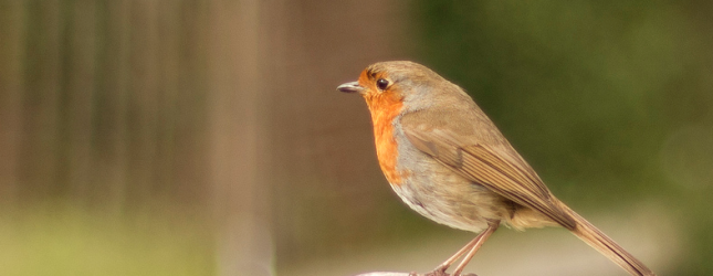 Aviary’s photo API passes 3B edits across 3,500 apps with 35M MAUs, not including Twitter