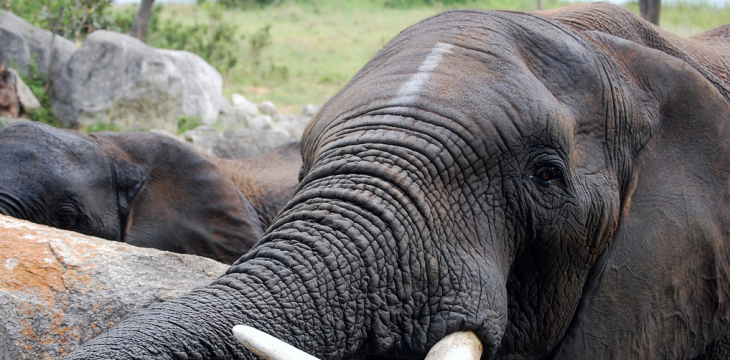 After major data breach, Evernote accelerates plans to implement two-factor authentication