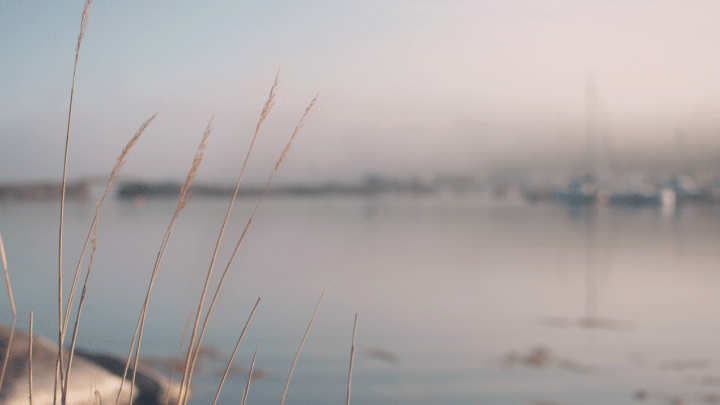 Google continues showing animated Gifs love, now supports the format in Google+ profile pics