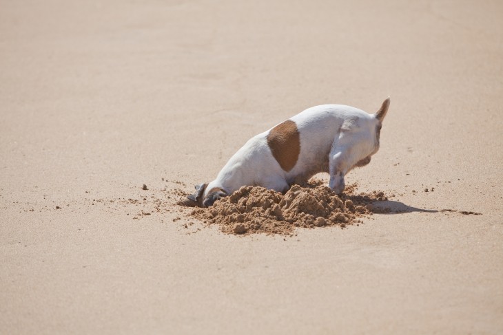 Duedil raises $5m, helps its clients dig up information about private companies