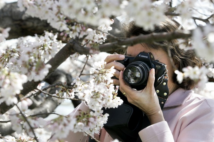 Aviaryâs Photo Editor v2.0 hits the Apple App Store with new tools, faster blurring, saving, more