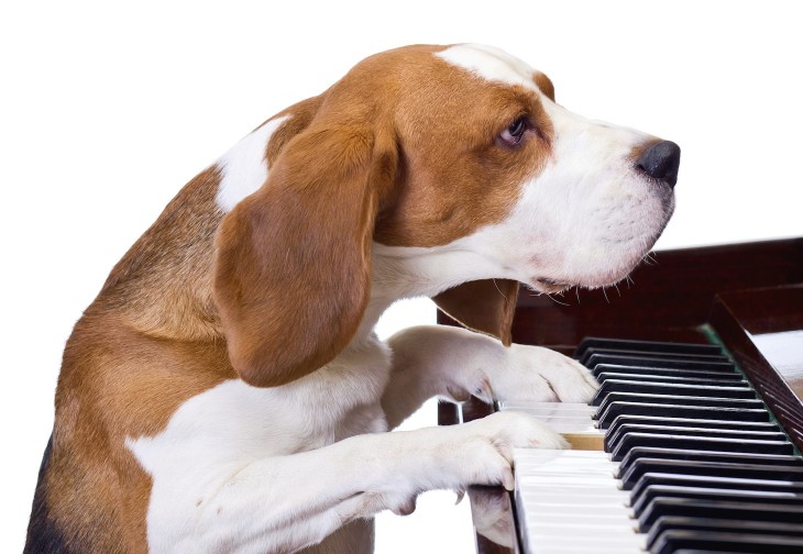 JoyTunes plays it cool, releases new piano practice app and raises $1.5m in funding