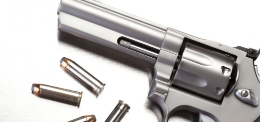 gun