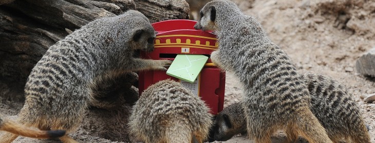 Swedish digital mailbox service Kivra acquires local rival Brevo