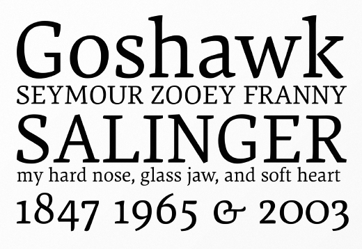 dora photo dora The 24 most beautiful typefaces released last month
