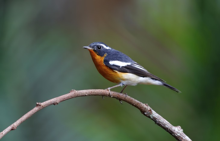 Chirpify closes $6M series A round to help bring its social commerce platform to live events and TV
